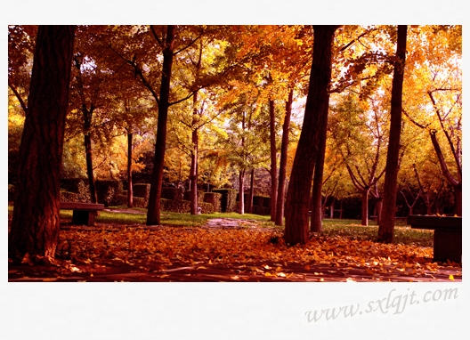 amjs澳金沙门线路(中国)有限公司首页