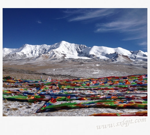 amjs澳金沙门线路(中国)有限公司首页