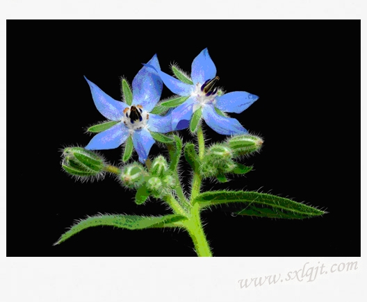 amjs澳金沙门线路(中国)有限公司首页