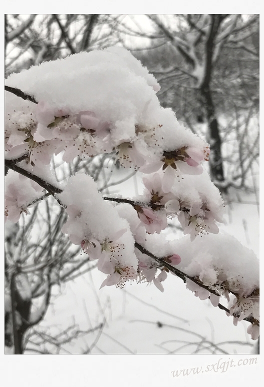 amjs澳金沙门线路(中国)有限公司首页