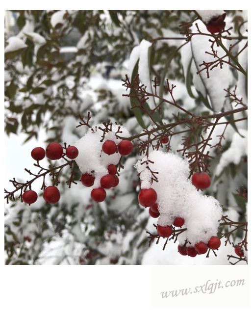 amjs澳金沙门线路(中国)有限公司首页