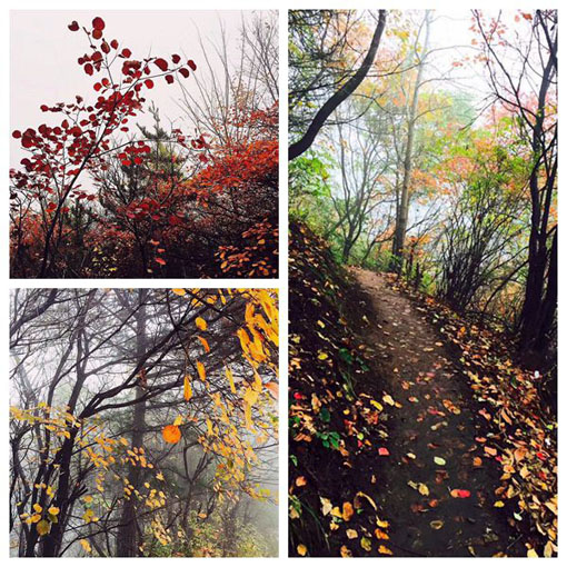 amjs澳金沙门线路(中国)有限公司首页