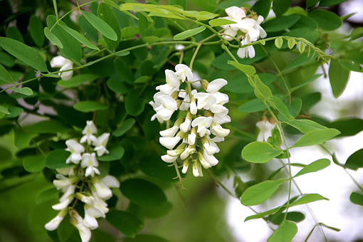 amjs澳金沙门线路(中国)有限公司首页