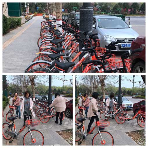 amjs澳金沙门线路(中国)有限公司首页