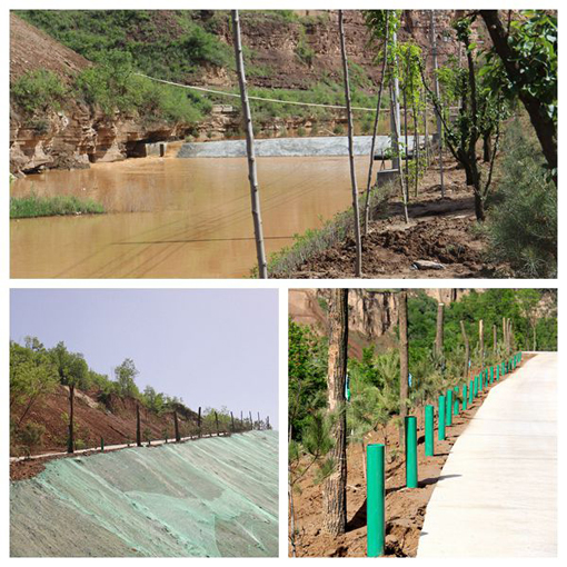 amjs澳金沙门线路(中国)有限公司首页