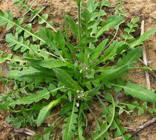 amjs澳金沙门线路(中国)有限公司首页