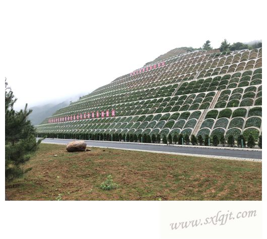 amjs澳金沙门线路(中国)有限公司首页