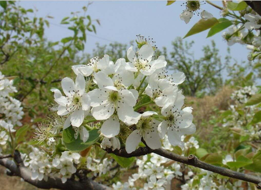 amjs澳金沙门线路(中国)有限公司首页