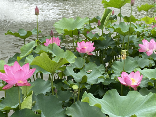 amjs澳金沙门线路(中国)有限公司首页