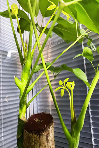 amjs澳金沙门线路(中国)有限公司首页