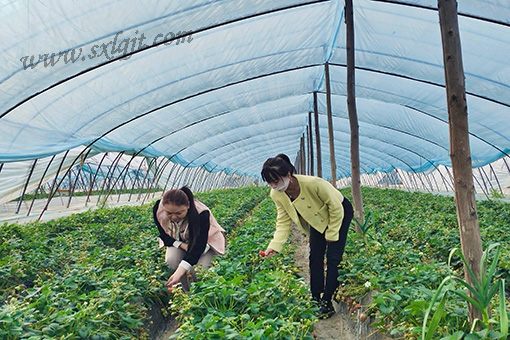 amjs澳金沙门线路(中国)有限公司首页